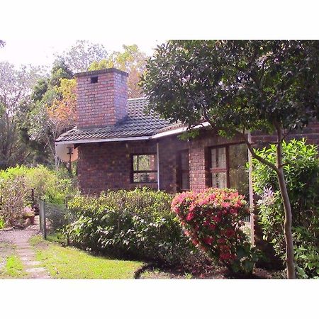 Forest Nest Cottage, Tsitsikamma Стормсривиер Екстериор снимка