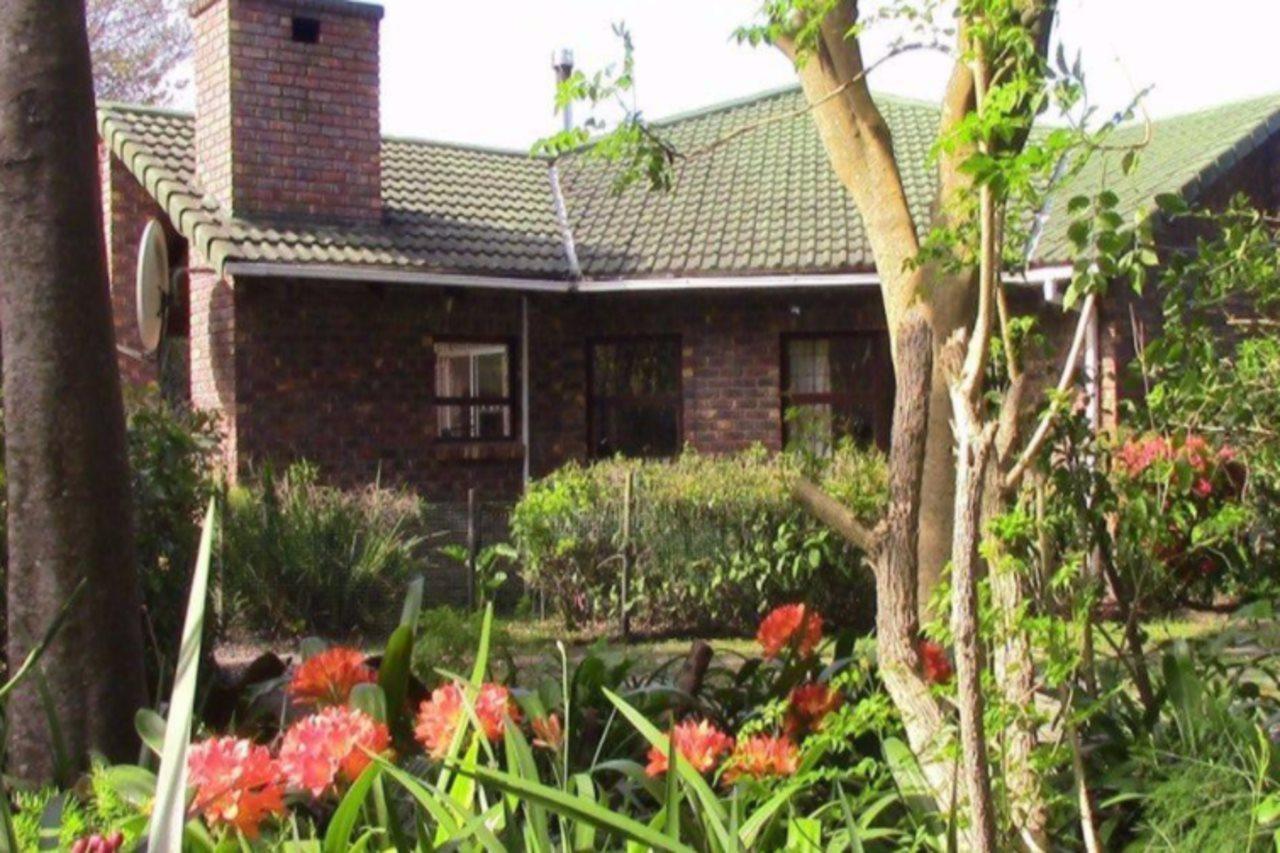 Forest Nest Cottage, Tsitsikamma Стормсривиер Екстериор снимка