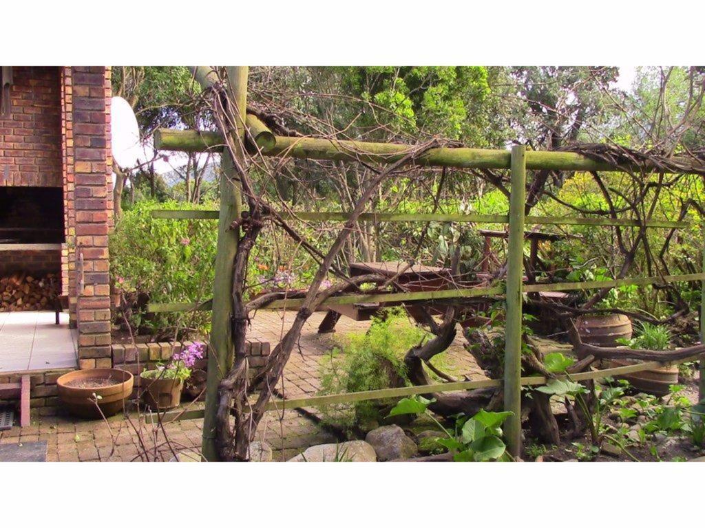 Forest Nest Cottage, Tsitsikamma Стормсривиер Екстериор снимка