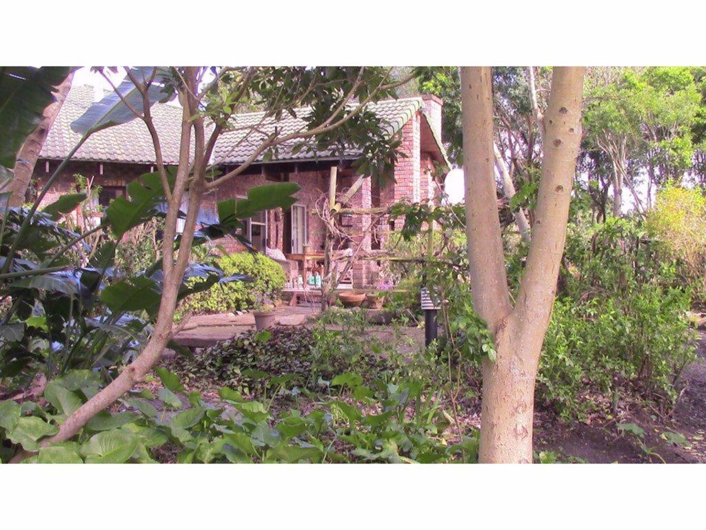 Forest Nest Cottage, Tsitsikamma Стормсривиер Екстериор снимка